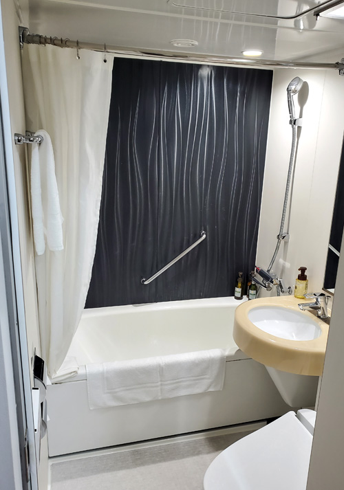 ホテルマイステイズプレミア堂島バスルーム