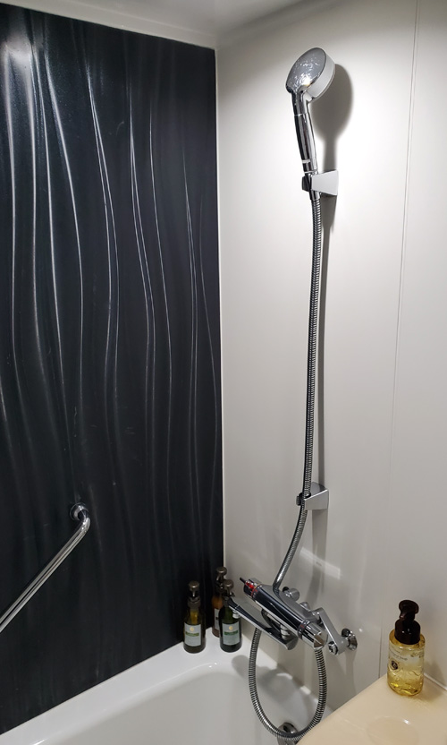 ホテルマイステイズプレミア堂島シャワー