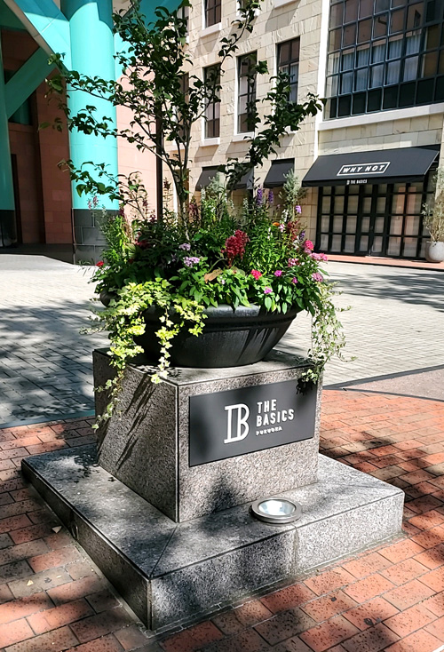 the_basics_FUKUOKA植物